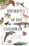 Birds of the West Indies Herbert A. Raffaele, Herbert Raffaele, Herbert A Raffaele, Herbert A. Raffaele, Herbert A. Wiley Raffaele, Raffaele Herbert A.... - Wildlife of the Caribbean