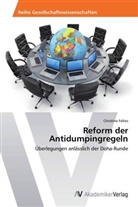 Christine Feltes - Reform der Antidumpingregeln