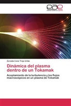 Zoraida Irene Trejo Uribe - Dinámica del plasma dentro de un Tokamak