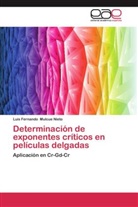 Luis Fernando Mulcue Nieto - Determinación de exponentes críticos en películas delgadas