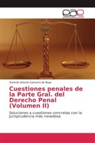 Gerardo Antonio Gamarra de Baya - Cuestiones penales de la Parte Gral. del Derecho Penal (Volumen II)