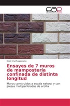 Osiel Cruz Sagastume - Ensayes de 7 muros de mampostería confinada de distinta longitud