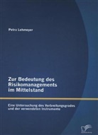 Petra Lehmeyer - Zur Bedeutung des Risikomangements im Mittelstand. Eine Untersuchung des Verbreitungsgrades und der verwendeten Instrumente