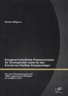 Guluma Megersa - Energiewirtschaftliche Potenzialanalyse für Stromspeicher sowie für den Einsatz von flexiblen Energieanlagen
