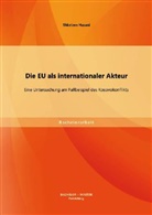 Shkelzen Hasani - Die EU als internationaler Akteur: Eine Untersuchung am Fallbeispiel des Kosovokonflikts