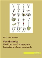 G L Reichenbach, H G L Reichenbach, H. G. L. Reichenbach, H.G.L. Reichenbach - Flora Saxonica