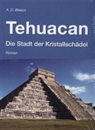 Andreas Bleeck, Andreas D Bleeck, Andreas D. Bleeck - Tehuacan - Die Stadt der Kristallschädel