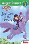 Jill Baer, Jill/ Disney Storybook Artists (COR) Baer, DISNEY BOOK GROUP, Disney Storybook Artists - Sofia the First Just One of the Princes