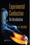 D. P. Mishra, D. P. (Indian Institute of Technology Mishra - Experimental Combustion