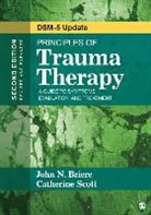 John N Briere, John N. Briere, John N. Scott Briere, John N./ Scott Briere, Catherine Scott - Principles of Trauma Therapy