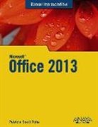 Patricia Scott Peña - Office 2013