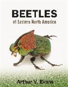 Arthur Evans, Arthur V Evans, Arthur V. Evans, Evans Arthur V. - Beetles of Eastern North America