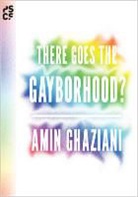 Amin Ghaziani, Ghaziani Amin, Paul Dimaggio, Michele Lamont, Robert Wuthnow - There Goes the Gayborhood?