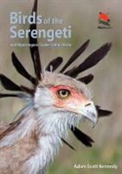 Adam Kennedy, Adam Scott Kennedy, Kennedy Adam Scott - Birds of the Serengeti