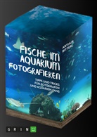 Arthur Bitterl - Fische im Aquarium fotografieren - Tipps und Tricks für Fotografen und Aquarien-Fans