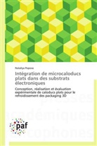 Nataliya Popova, Popova-n - Integration de microcaloducs