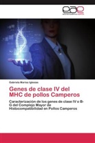 Gabriela Marisa Iglesias - Genes de clase IV del MHC de pollos Camperos