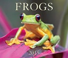 Firefly Books, Firefly Books - Frogs