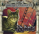 John Willard, Patrick Bach, Eckart Dux, Joseline Gassen, Nana Spier, Julia Stoepel... - Gruselkabinett - Die Katze und der Kanarienvogel, 2 Audio-CD (Audio book)