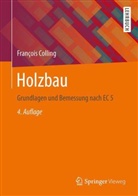 Francois Colling, François Colling - Holzbau