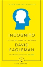 David Eagleman - Incognito