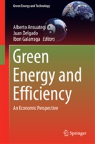Alberto Ansuategi, Jua Delgado, Juan Delgado, Ibon Galarraga - Green Energy and Efficiency