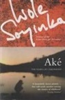 Wole Soyinda, Wole Soyinka - Ake