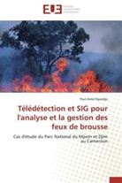 Paul Aimé Nguedjo, Nguedjo-P - Teledetection et sig pour l