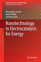 Alessandr Lavacchi, Alessandro Lavacchi, Hamis Miller, Hamish Miller, Frances Vizza, Francesco Vizza - Nanotechnology in Electrocatalysis for Energy
