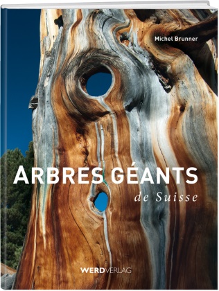 Michel Brunner,  Werd & Weber Verlag AG - Arbres géants de Suisse