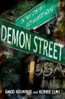 Robbie Lunt, Robbie (Robbie Lunt) Lunt, David Rountree, David (David Rountree) Rountree, David/ Lunt Rountree - Demon Street, USA