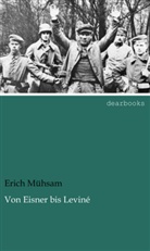 Erich Mühsam - Von Eisner bis Leviné