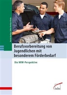 Marti Baethge, Martin Baethge, Volker Baethge-Kinsky - Berufsvorbereitung von Jugendlichen mit besonderem Förderbedarf