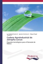 Angulo, Miguel Ángel Angulo E., Ignaci Contreras A, Ignacio Contreras A, Ignacio Contreras A., Luz Gabriel Escoto G... - Cadena AgroIndustrial de Jatropha curcas