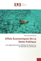 Alexis Claude Metila Nke, Nke-A - Effets economiques de la dette