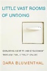 Dara Blumenthal, Blumenthal Dara - Little Vast Rooms of Undoing Ecb