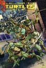 Paul Allor, Erik Burnham, Mike Costa, Barbara Randall Kesel, Andy Kuhn, Brian Lynch... - Teenage Mutant Ninja Turtles Heroes Collection