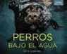Seth Castel - Perros bajo el agua
