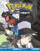 Hidenori Kusaka, Hidenori/ Yamamoto Kusaka, Satoshi Yamamoto - Pokemon Black and White 14
