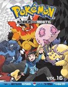 Hidenori Kusaka, Hidenori Kusaka, Hidenori/ Yamamoto Kusaka, Satoshi Yamamoto - Pokemon Black and White 16