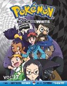 Hidenori Kusaka, Hidenori Kusaka, Hidenori/ Yamamoto Kusaka, Satoshi Yamamoto - Pokemon Black and White 17