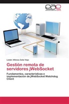 Lester Alfonso Zaila Viejo - Gestión remota de servidores jWebSocket