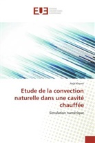 Nejd Khemir, Khemir-N - Etude de la convection naturelle