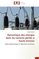 Hassène Bédoui, Bedoui-H - Dynamique des charges dans les