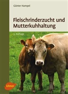 Günter Hampel, Günter (Dr.) Hampel - Fleischrinderzucht und Mutterkuhhaltung
