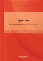 Alexander Hübert - Cybercrime: Eine Gefährdung der Sicherheit im Informationszeitalter?
