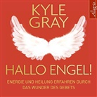 Kyle Gray, Carsten Fabian - Hallo Engel!, 1 Audio-CD (Audio book)