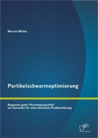 Marvin MÃ¼ller, Marvin Müller - Partikelschwarmoptimierung: Regionen guter Parameterqualität als Garanten für eine effiziente Problemlösung