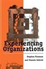 Stephen Fineman, Stephen Gabriel Fineman, Yiannis Gabriel - Experiencing Organizations