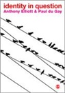 a Elliott, Anthony Elliott, Anthony Du Gay Elliott, Paul du Gay, Anthony Elliott, Elliott Anthony... - Identity in Question